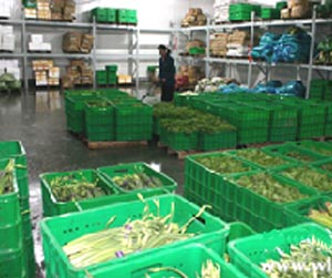 塑料周轉(zhuǎn)筐能用多少年？